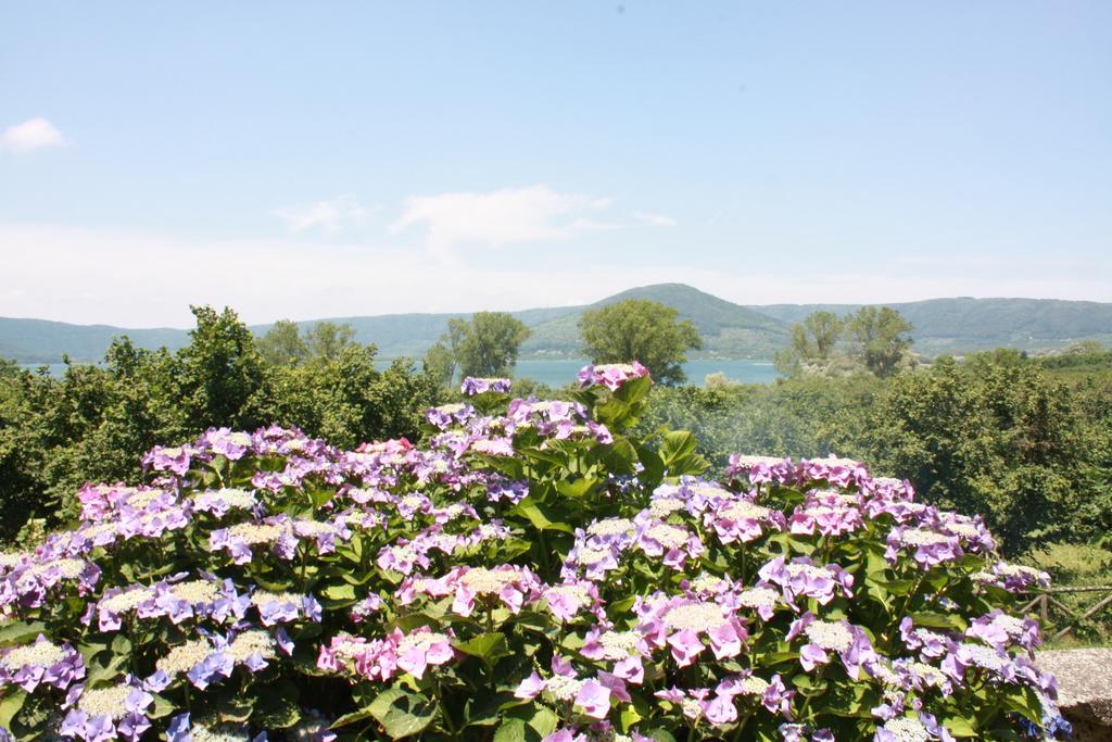 La Finestra Sul Lago Ronciglione  Exteriér fotografie