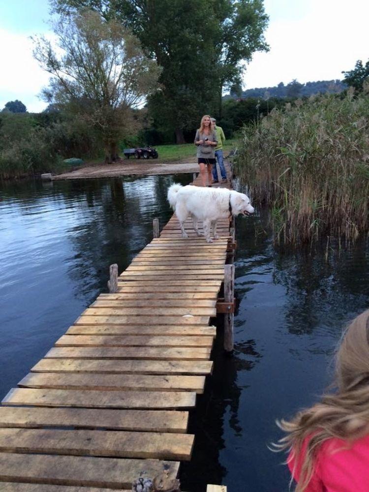 La Finestra Sul Lago Ronciglione  Exteriér fotografie